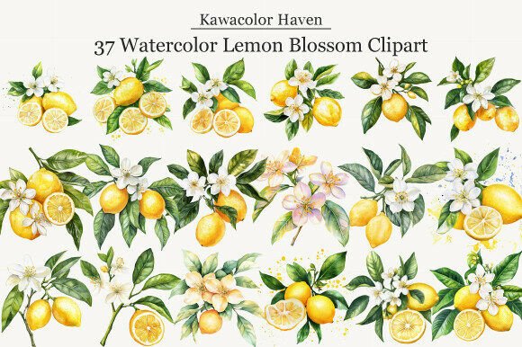 Download Watercolor Lemon Blossom Clipart - Blossom clipart Collection